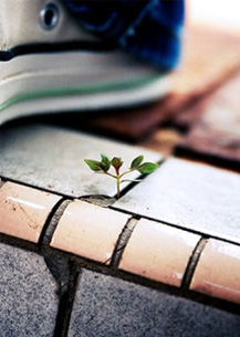 Месяц грандиозных перемен - мужской гороскоп для Весов на май